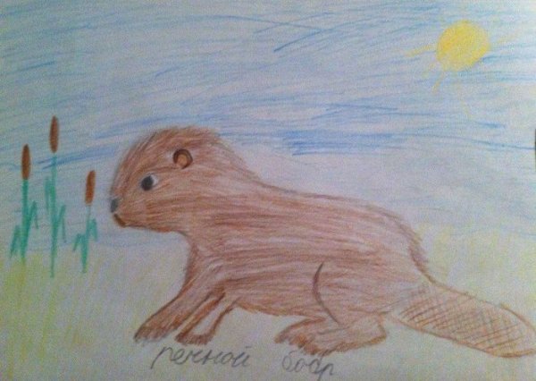 Рисуем бобра с детьми