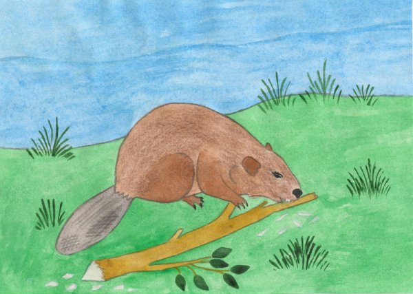 Бобер мультяшный