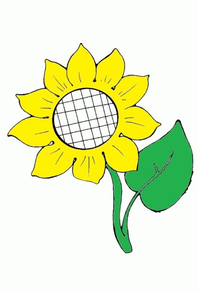 Подсолнухи рисунки для срисовки