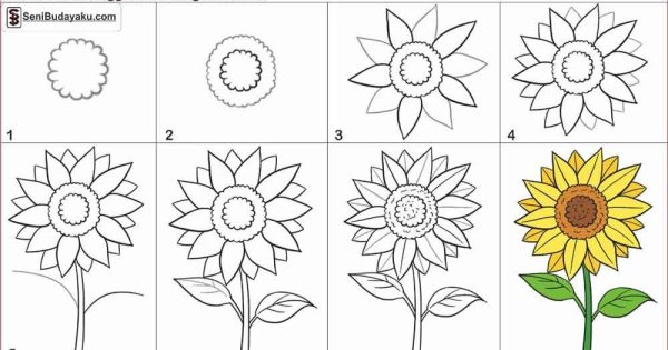 Поэтапное рисование подсолнуха