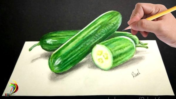 Огурец раскраска для малышей