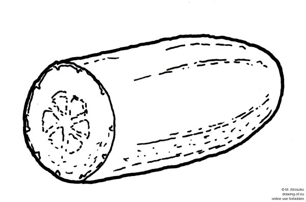 Огурец рисунок карандашом
