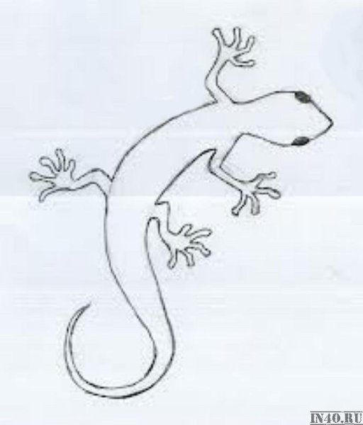 Ящерица рисунок карандашом
