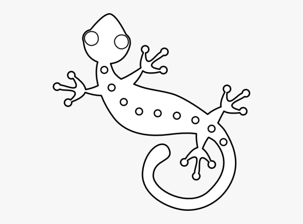 Поэтапное рисование ящерицы