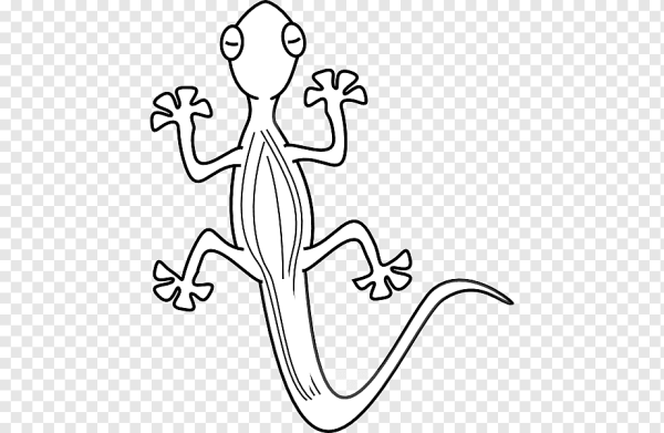 Поэтапное рисование ящерицы