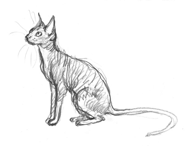 Сфинкс и Анубис тату