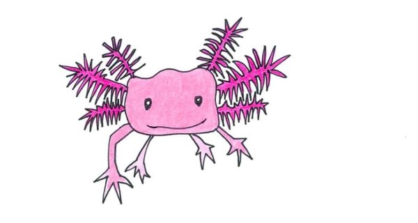 Наоми Лорд аксолотль