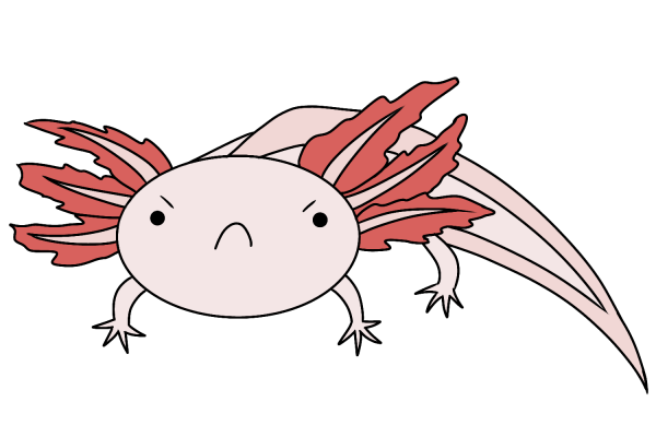 Аксолотль раскраска