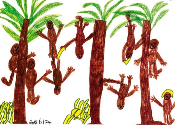 Раскраска джунгли для детей