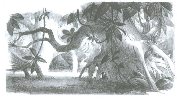 Раскраска джунгли для детей