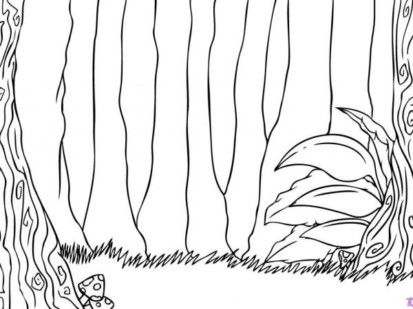 Джунгли рисование с детьми