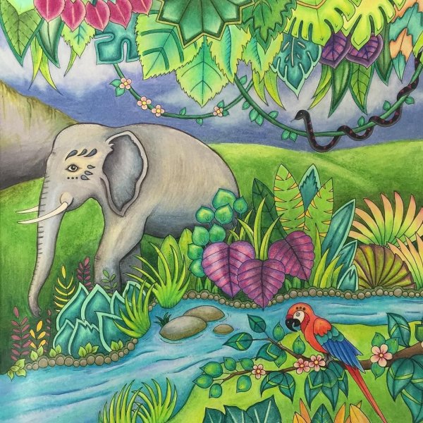 Рисунки карандашом природа