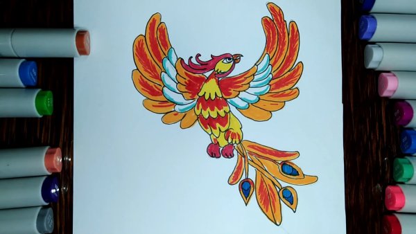 Жар птица раскраска