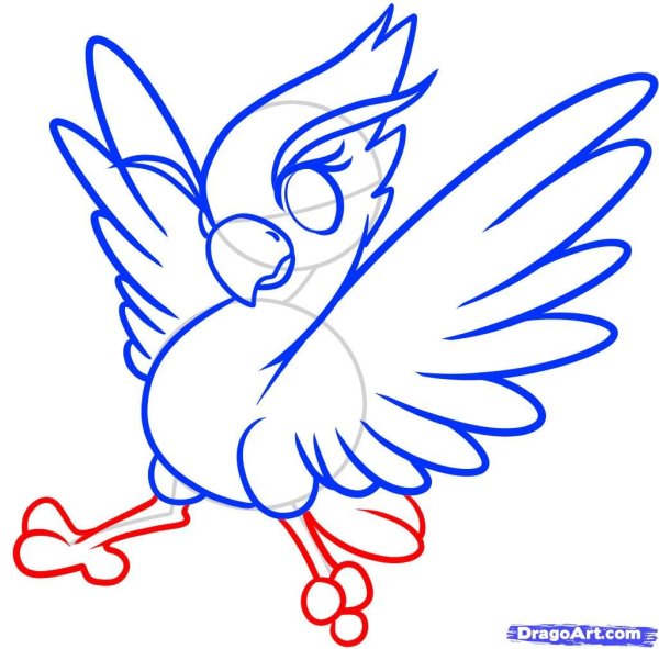 Жар птица рисунок карандашом