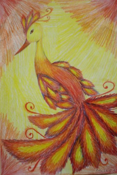 Жар птица рисунок раскраска