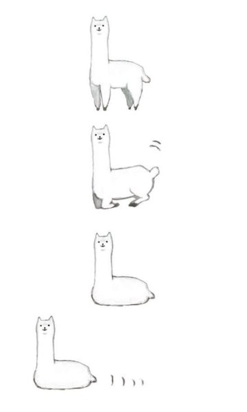 Клэр и альпака