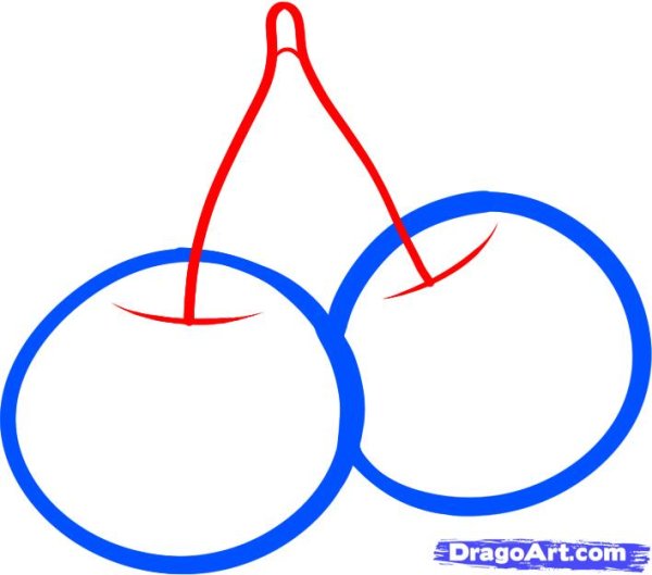 Поэтапное рисование вишни карандашом