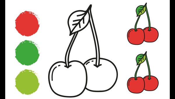 Вишня раскраска для детей