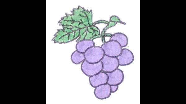 Виноград в паинте