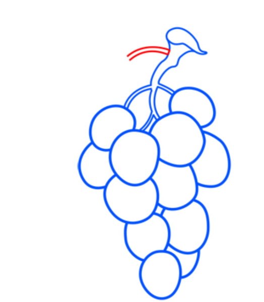 Легкий виноград для рисования