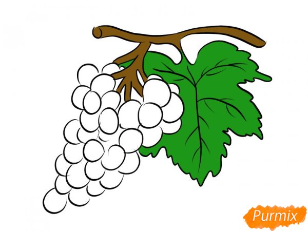 Нарисовать виноград