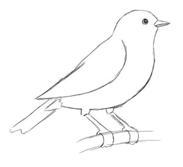 Рисунки для срисовки птицы легкие
