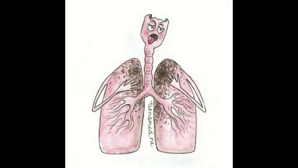 Нарисовать орган