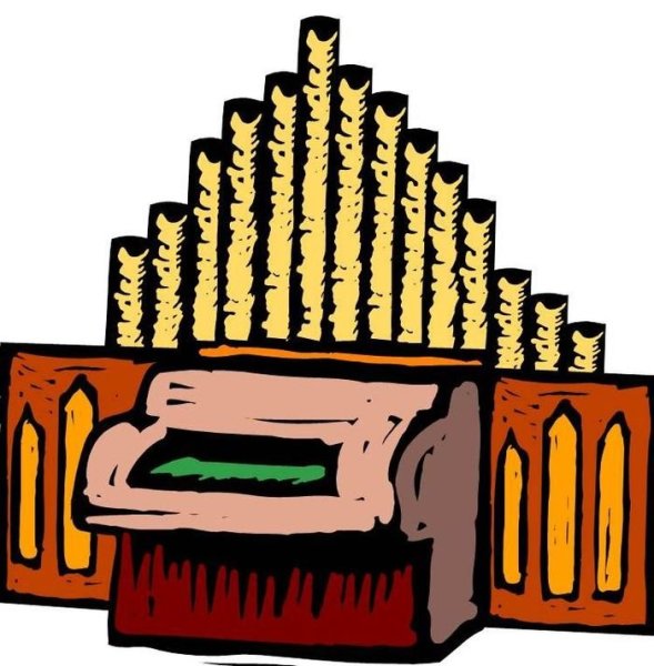 Легкие орган