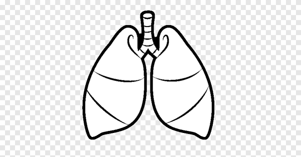 Лёгкие картинки