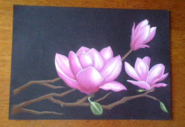 Рисунки пастелью сухой для начинающих