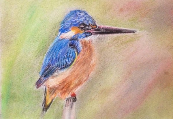 Рисование пастелью для начинающих