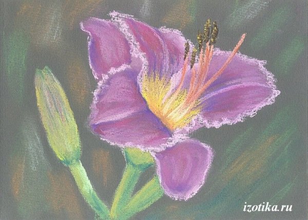 Рисунки пастелью