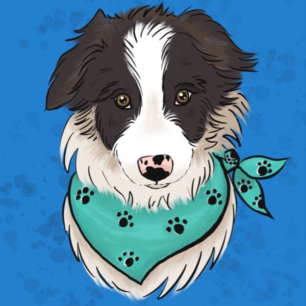 Собака арт бордер колли