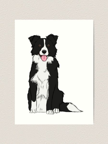 Cartoon бордер колли
