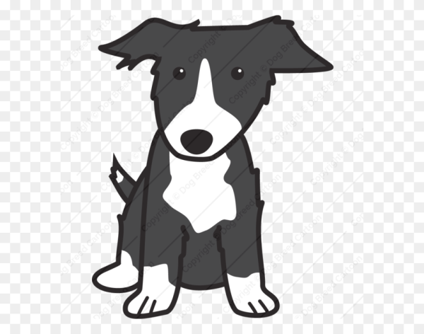 Бордер колли арт Стикеры