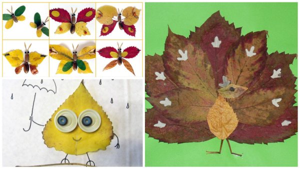 Узор из осенних листьев