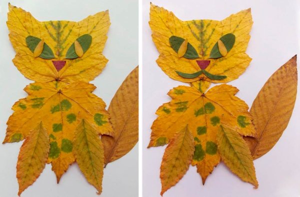 Композиция из листьев