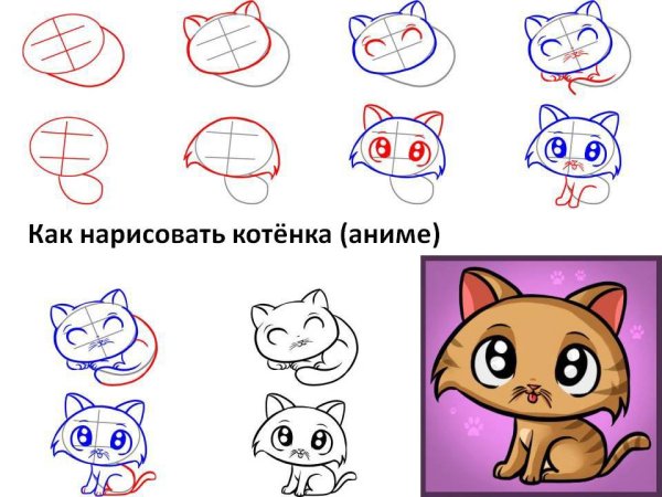 Рисунок кота для срисовки