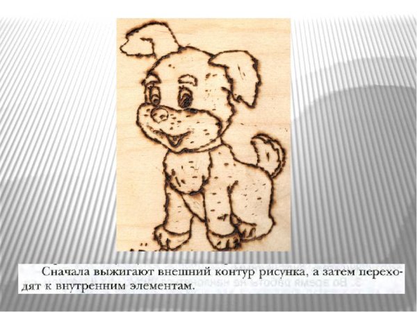 Раскраска Лев