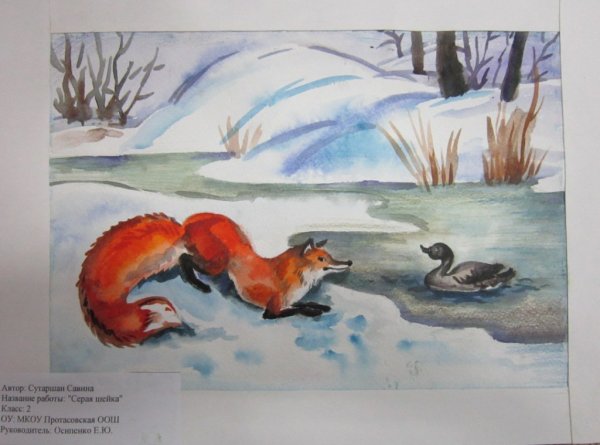 Серая шейка иллюстрации к сказке