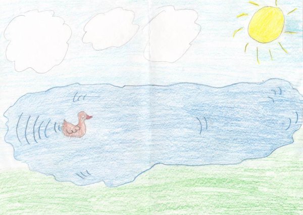 Рисование серая шейка