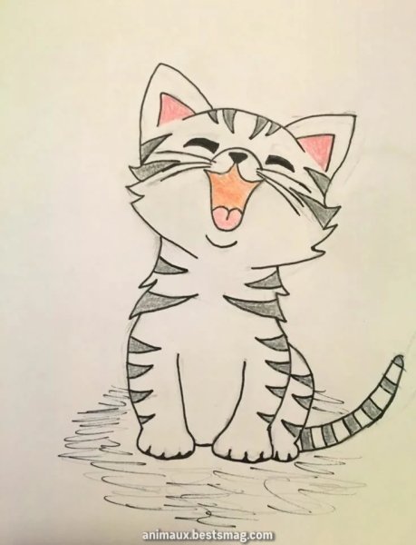 Рисунки котиков для скетчбука