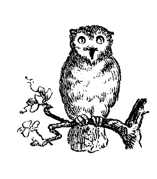 Рисунки для выжигания