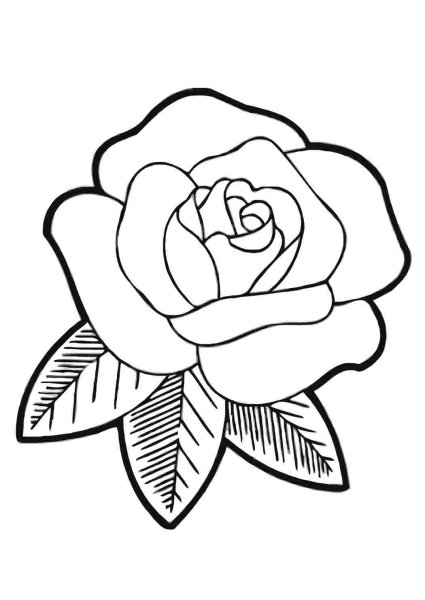 Раскраска цветочек