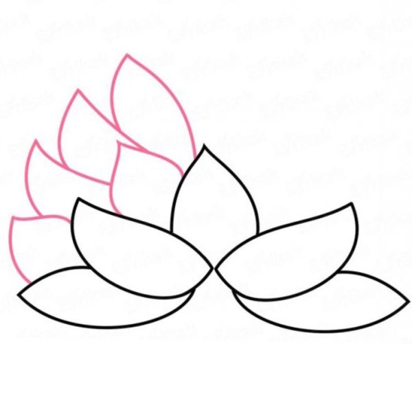 Цветы. Раскраска