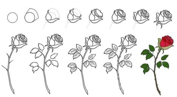 Цветок для раскрашивания детям