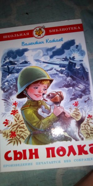 Сын полка Школьная библиотека