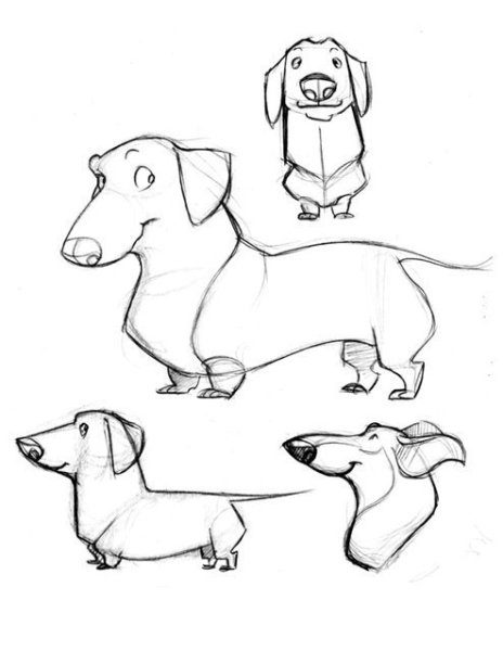 Такса рисунок спереди