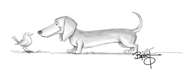 Рисование таксы для дошкольников