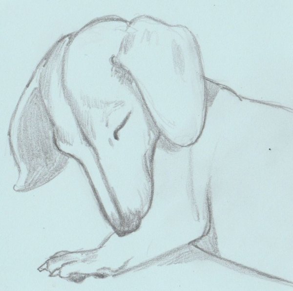 Поэтапное рисование щенка для детей